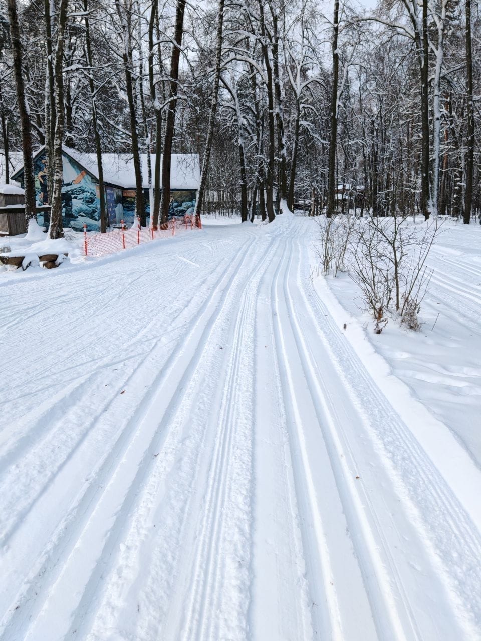 Фото трассы #12