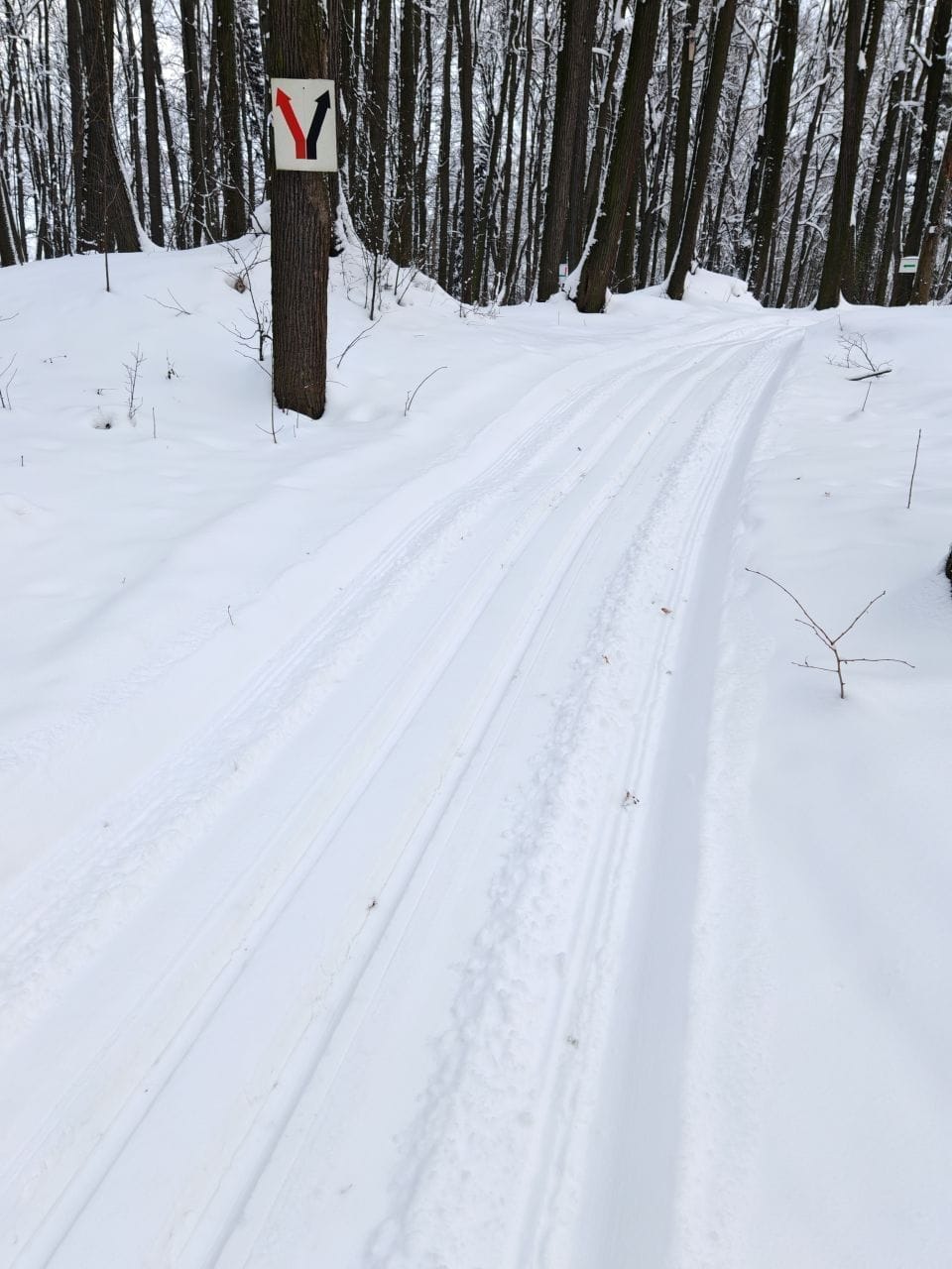 Фото трассы #13