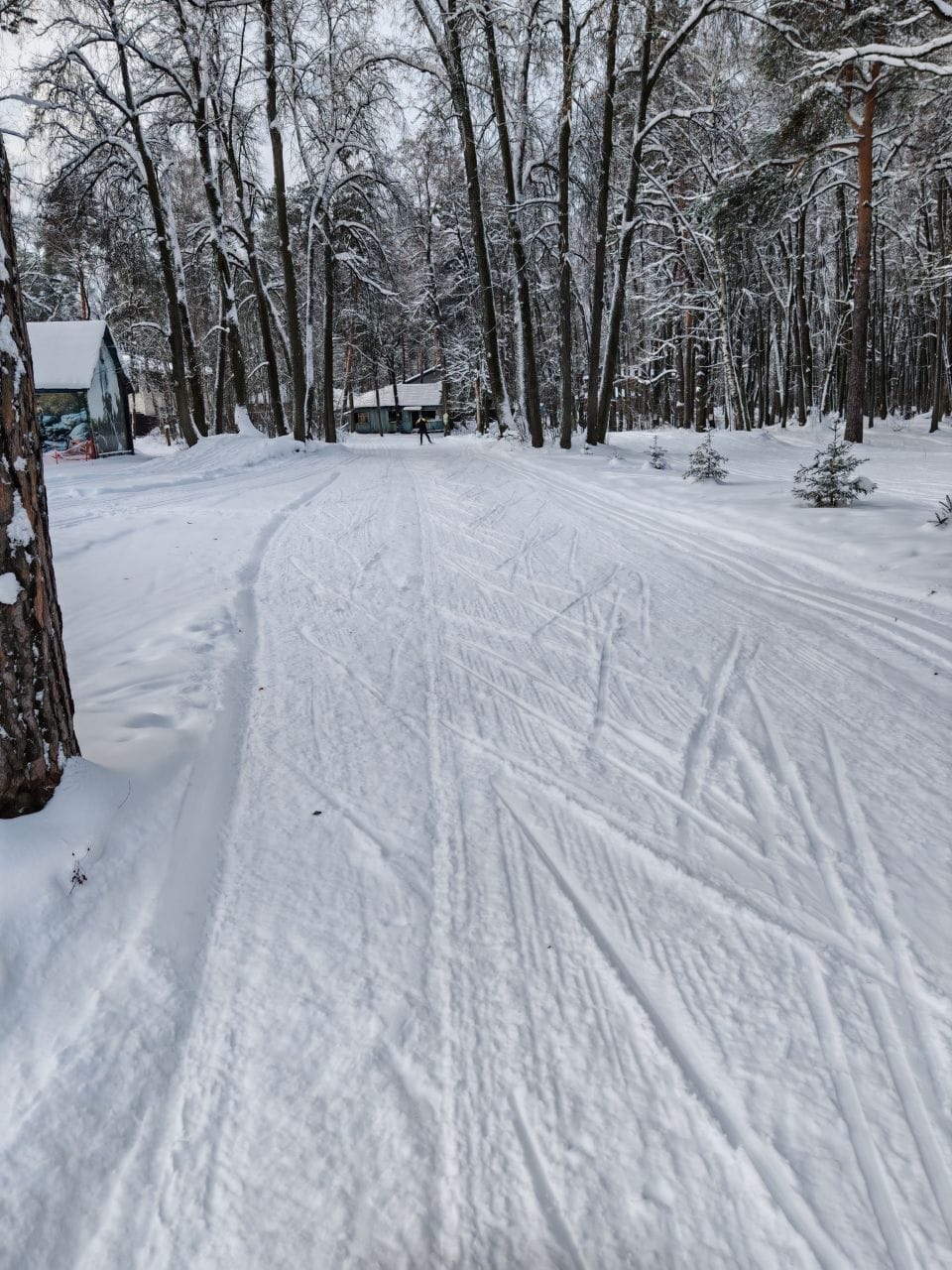 Фото трассы #14