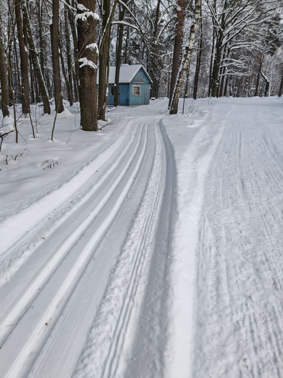 Фото трассы #15