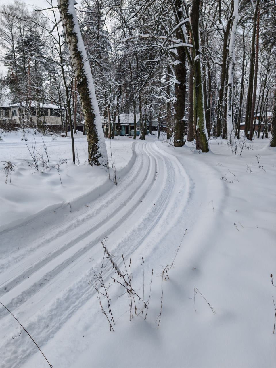 Фото трассы #16